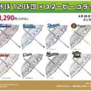 ヒメ日記 2025/04/25 13:12 投稿 まひる SUZUME