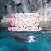 ヒメ日記 2025/06/01 23:46 投稿 まひる SUZUME