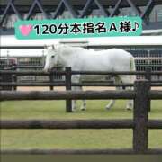 ヒメ日記 2025/09/09 23:54 投稿 まひる SUZUME