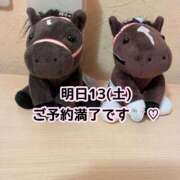 ヒメ日記 2025/09/12 23:59 投稿 まひる SUZUME