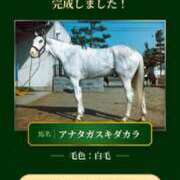 ヒメ日記 2025/10/08 22:17 投稿 まひる SUZUME