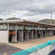 ヒメ日記 2025/10/12 21:51 投稿 まひる SUZUME