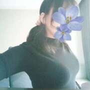 ヒメ日記 2025/10/19 09:17 投稿 まひる SUZUME