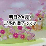 ヒメ日記 2025/10/19 18:19 投稿 まひる SUZUME