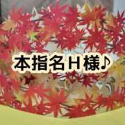 ヒメ日記 2025/10/25 23:23 投稿 まひる SUZUME