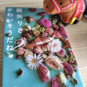 ヒメ日記 2025/10/31 15:11 投稿 まひる SUZUME