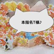 ヒメ日記 2025/11/07 00:58 投稿 まひる SUZUME