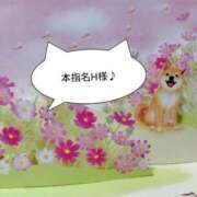 ヒメ日記 2025/11/07 20:31 投稿 まひる SUZUME