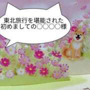 ヒメ日記 2025/11/11 01:06 投稿 まひる SUZUME