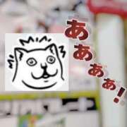 ヒメ日記 2025/11/13 19:41 投稿 まひる SUZUME