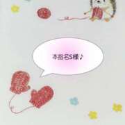 ヒメ日記 2025/11/29 14:11 投稿 まひる SUZUME