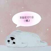 ヒメ日記 2025/11/29 15:15 投稿 まひる SUZUME