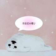 ヒメ日記 2025/11/29 16:01 投稿 まひる SUZUME