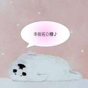 ヒメ日記 2025/11/29 20:30 投稿 まひる SUZUME