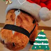 ヒメ日記 2025/12/26 00:55 投稿 まひる SUZUME