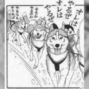 ヒメ日記 2025/12/31 17:09 投稿 まひる SUZUME