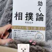 ヒメ日記 2026/01/15 09:46 投稿 まひる SUZUME