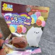 ヒメ日記 2026/02/12 22:21 投稿 まひる SUZUME