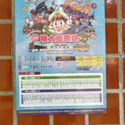 ヒメ日記 2026/03/14 08:50 投稿 まひる SUZUME