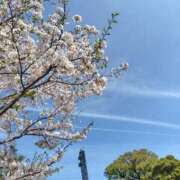 ヒメ日記 2026/04/03 20:08 投稿 まひる SUZUME