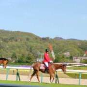 ヒメ日記 2026/04/19 17:59 投稿 まひる SUZUME