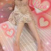 ヒメ日記 2024/12/29 09:36 投稿 りこ SUZUME