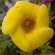 ヒメ日記 2025/06/13 08:53 投稿 りこ SUZUME