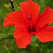 ヒメ日記 2025/07/05 08:36 投稿 りこ SUZUME