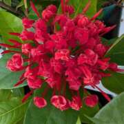 ヒメ日記 2025/07/28 08:31 投稿 りこ SUZUME