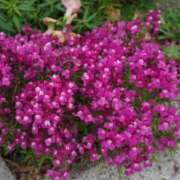 ヒメ日記 2025/09/16 08:33 投稿 りこ SUZUME