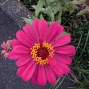 ヒメ日記 2025/10/02 08:30 投稿 りこ SUZUME