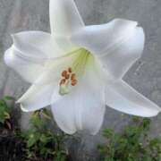 ヒメ日記 2025/10/03 08:30 投稿 りこ SUZUME