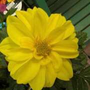 ヒメ日記 2025/10/13 08:31 投稿 りこ SUZUME