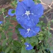 ヒメ日記 2025/11/09 08:32 投稿 りこ SUZUME