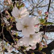 ヒメ日記 2026/04/14 09:18 投稿 りこ SUZUME