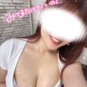 ヒメ日記 2024/12/31 13:01 投稿 リノ COCOMERO（ココメロ）