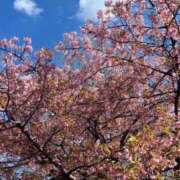 ヒメ日記 2025/03/21 10:31 投稿 リノ COCOMERO（ココメロ）