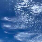 ヒメ日記 2025/07/27 12:31 投稿 リノ COCOMERO（ココメロ）