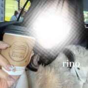 ヒメ日記 2025/12/12 12:46 投稿 リノ COCOMERO（ココメロ）