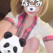 ヒメ日記 2024/12/09 22:02 投稿 なごみ SUZUME