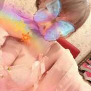 ヒメ日記 2024/12/12 07:16 投稿 なごみ SUZUME