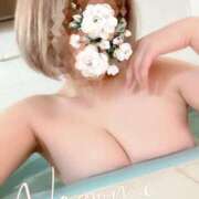 ヒメ日記 2024/12/22 18:30 投稿 なごみ SUZUME