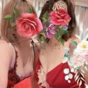 ヒメ日記 2024/12/25 11:46 投稿 なごみ SUZUME