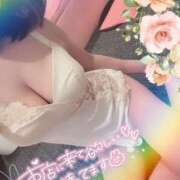 ヒメ日記 2024/12/28 07:30 投稿 なごみ SUZUME