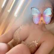 ヒメ日記 2025/01/09 08:02 投稿 なごみ SUZUME