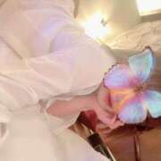 ヒメ日記 2025/01/17 08:15 投稿 なごみ SUZUME