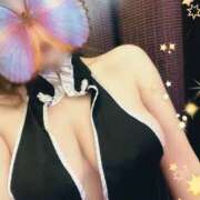 ヒメ日記 2025/02/20 20:30 投稿 なごみ SUZUME