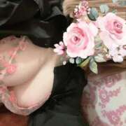 ヒメ日記 2025/03/01 07:45 投稿 なごみ SUZUME