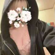 ヒメ日記 2025/03/17 07:01 投稿 なごみ SUZUME