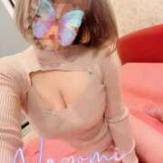 ヒメ日記 2025/03/19 09:45 投稿 なごみ SUZUME